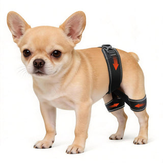 CHAMIN Dog Hip Brace Hip Dysplasia Rear Leg Support Harness Arthritis Size S