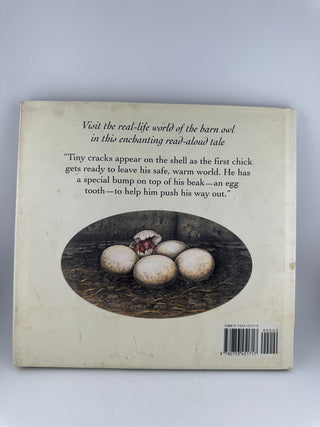 Animal Lives: The Barn Owl by Sally Tagholm & Bert Kitchen Paperback 1999