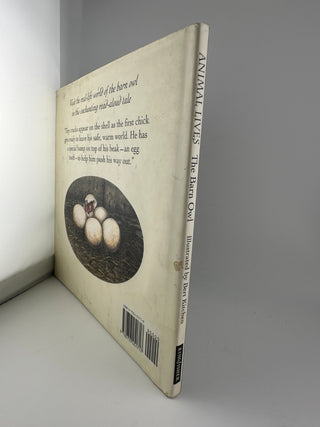 Animal Lives: The Barn Owl by Sally Tagholm & Bert Kitchen Paperback 1999