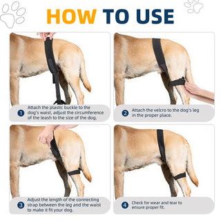CHAMIN Dog Hip Brace Hip Dysplasia Rear Leg Support Harness Arthritis Size S