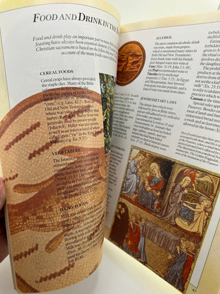 Bible Facts Illustrated Guide Jenny Roberts Hardcover