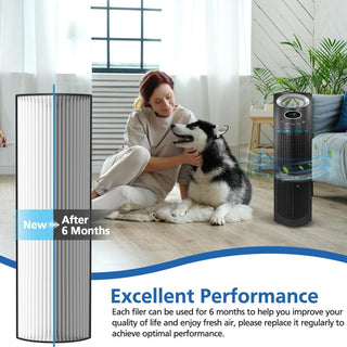 TPP440F HEPA Filter for Therapure TPP440 TPP540 TPP640 TPP640S 2 Pack