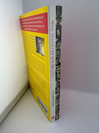 What Should I Do With My Life Po Bronson Paperback