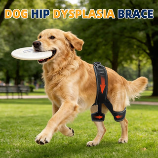 CHAMIN Dog Hip Brace Hip Dysplasia Rear Leg Support Harness Arthritis Size S