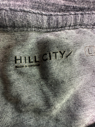 Hill City Men's L Gray Long Sleeve Performance Shirt