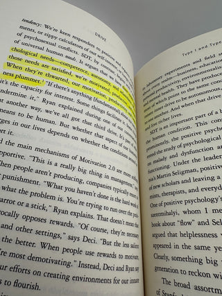 Daniel Pink Drive When 2 Book Lot Motivation Timing
